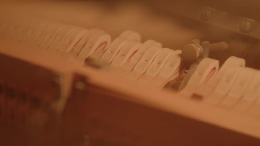 A close view shows the inner parts of a piano including the hammers as one of the keys is being pressed causing the corresponding hammer to move and strike a string