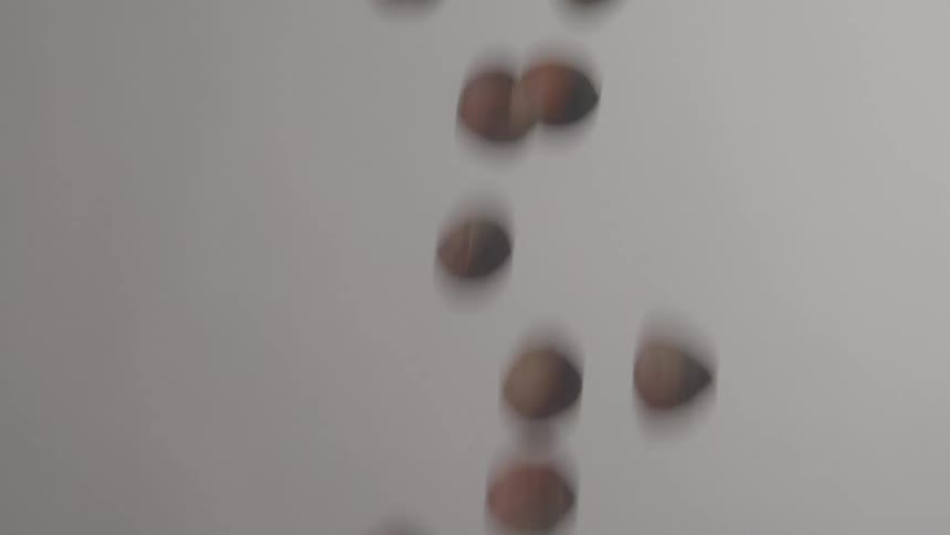 The video shows several acorns falling against a plain lightcolored background the acorns are blurry as they fall