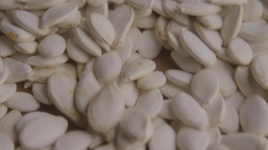 Closeup view of white pumpkin seeds