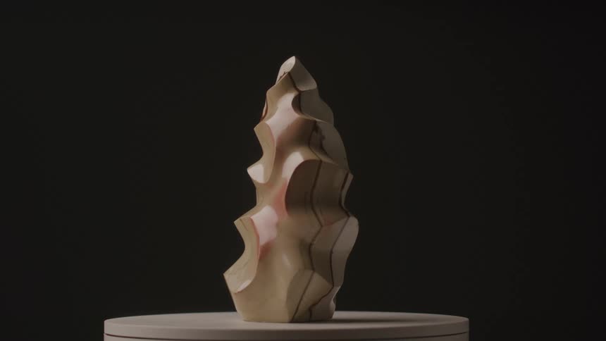 The video shows a carved abstract wooden object rotating on a white pedestal the object has a smooth pale surface with intricate flowing lines