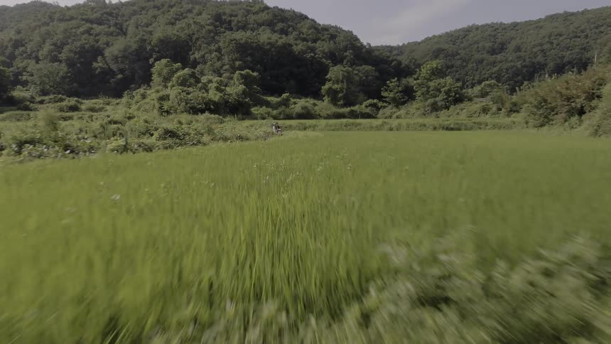 The range ahead is covered with tall grass as a scooter rides past