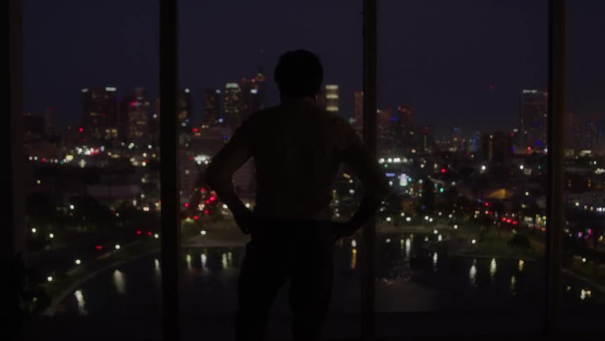 Silhouette of a man looking at the city lights at night
