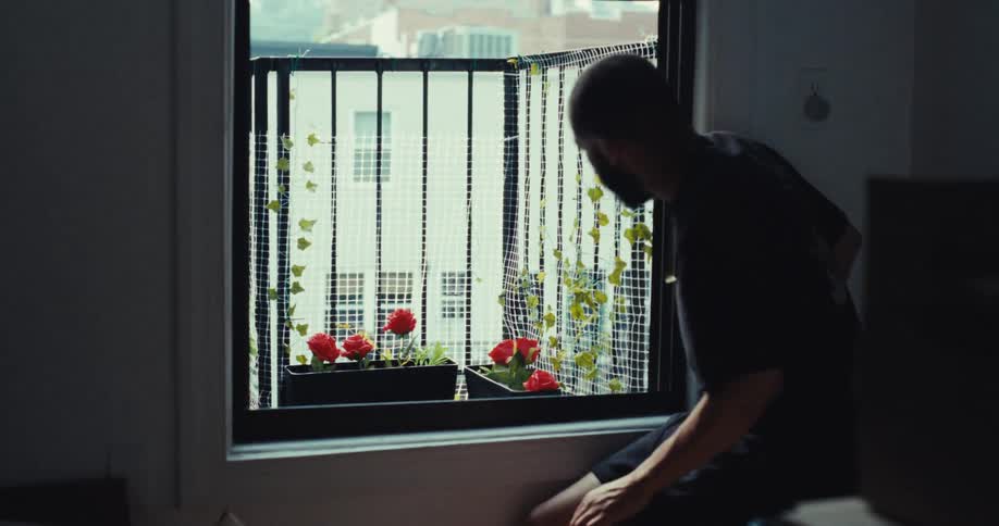 Man sits by a window looking at a small balcony garden