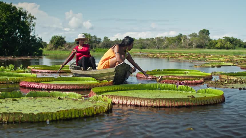 Two women one wearing a hat and a red long sleeve shirt and the other wearing an orange dress are sitting in a small boat on a lake filled with giant lily pads as they paddle and touch the water