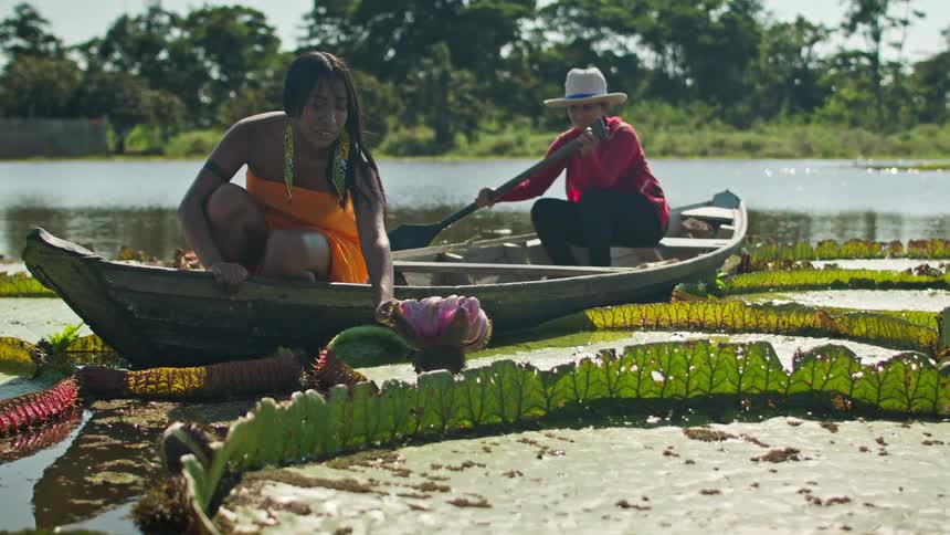 Two women in a canoe under the sun with the one in front examining a water flower plant while the one behind wearing a sun hat holds the paddle