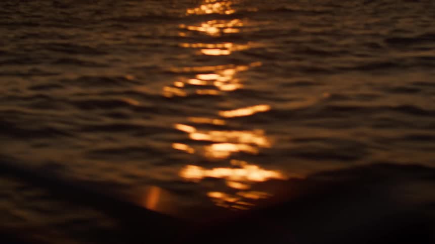 Golden sunset reflections shimmer on the rippled water surface