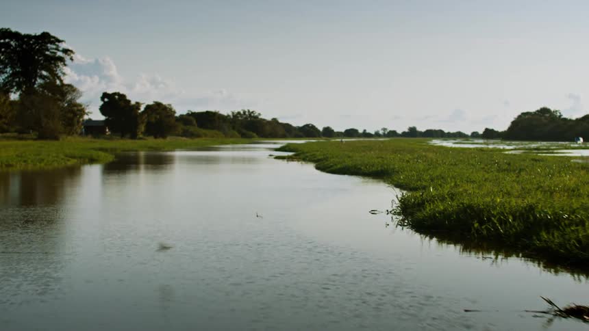 Calm river winds through green wetlands under a clear sky