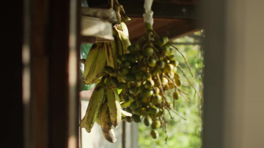 Bunches of fruit hanging on a wooden beam in the house