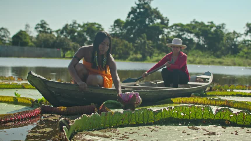 Woman in a wooden boat touches a pink flower among large aquatic leaves