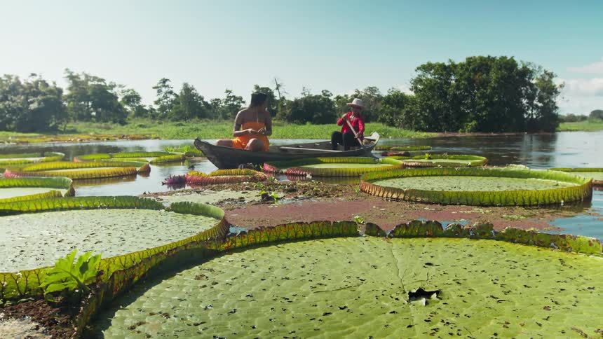 Two people are in a wooden rowing boat riding on a body of water with victoria regias