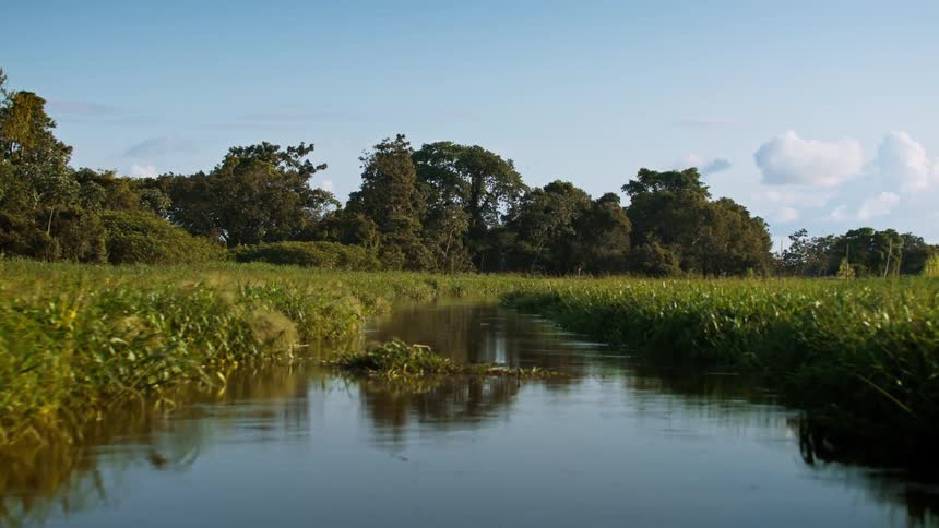 Passing through a marsh