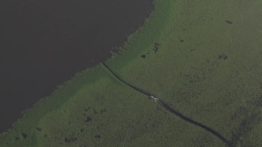 Boat sailing through a narrow channel in an aquatic vegetation area