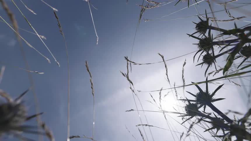 Looking up at the sky from the ground