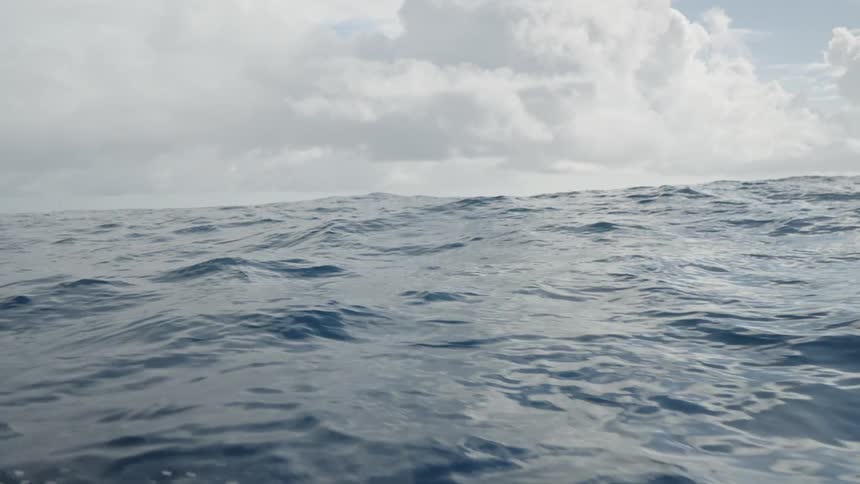 The video shows a wide shot of the open ocean with the waters surface undulating under a vast cloudy sky the horizon line is visible separating the dark blue sea from the light grey clouds