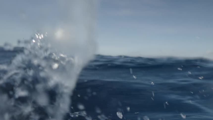 A splash of water rises from the oceans surface under a clear sky
