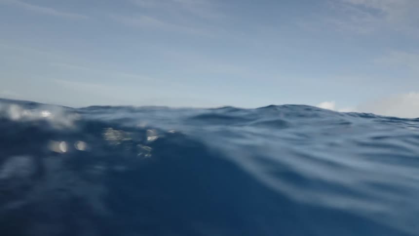 Sharks swim underwater in deep blue ocean