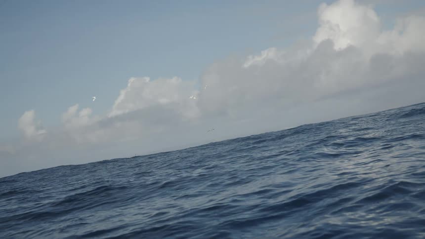 Open ocean waves roll under a partly cloudy sky with two distant birds flying above the horizon