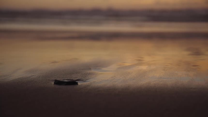 A lone shell lies on a beach at sunset