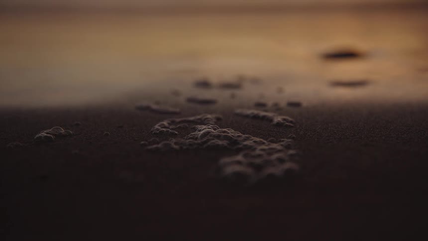 Wave foam scattered on the beach sand at sunset