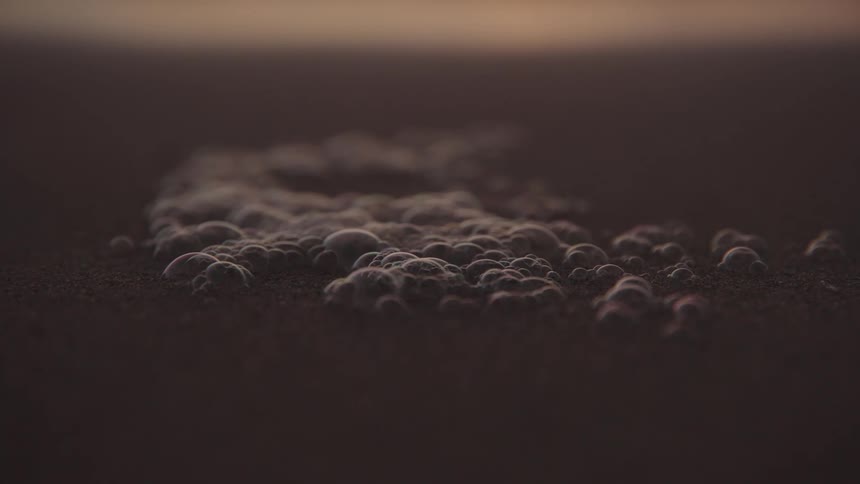 Small foam bubbles gather on the wet sand