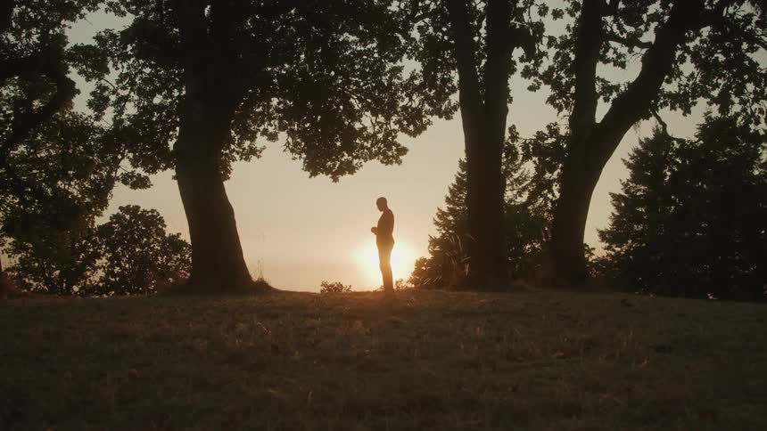 A silhouetted person stands still on a grassy hilltop between large dark trees looking down at their hands against the bright glow of the setting sun