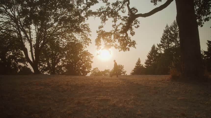 A lone figure walks across a field at sunset silhouetted against the bright horizon and surrounded by trees