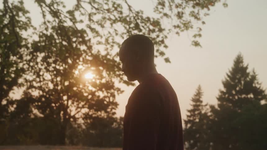 A silhouette of a person stands in a field at sunset with a golden glow surrounding them they are seen from the side looking thoughtful as they turn their head and then slowly walk away