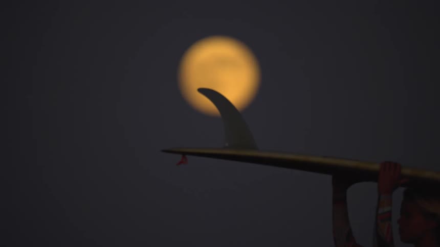 Surfer woman walking and carrying her surfboard with a big fin under the full moon light at night