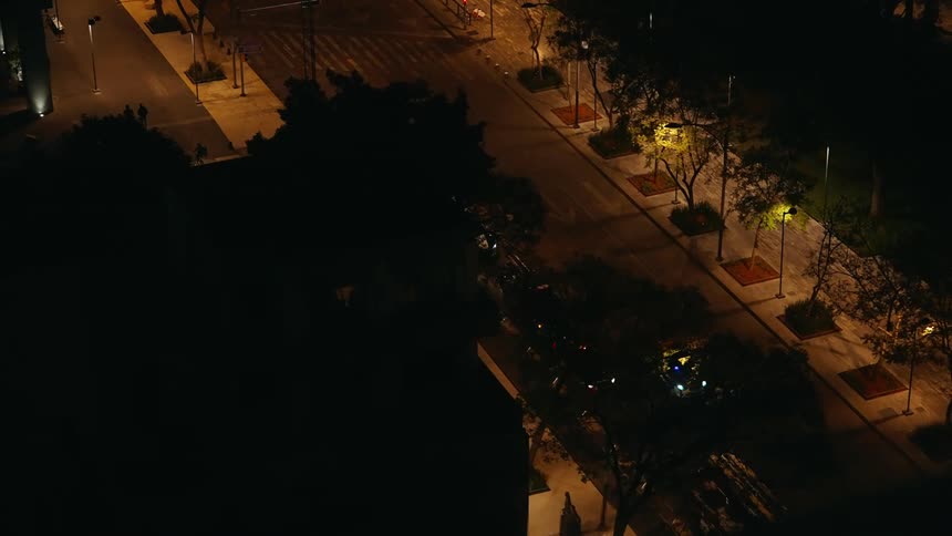 Police cars on an urban road at night