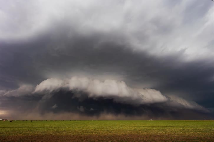 A storm moves across a grassland at midday with a variety of animals grazing in the field