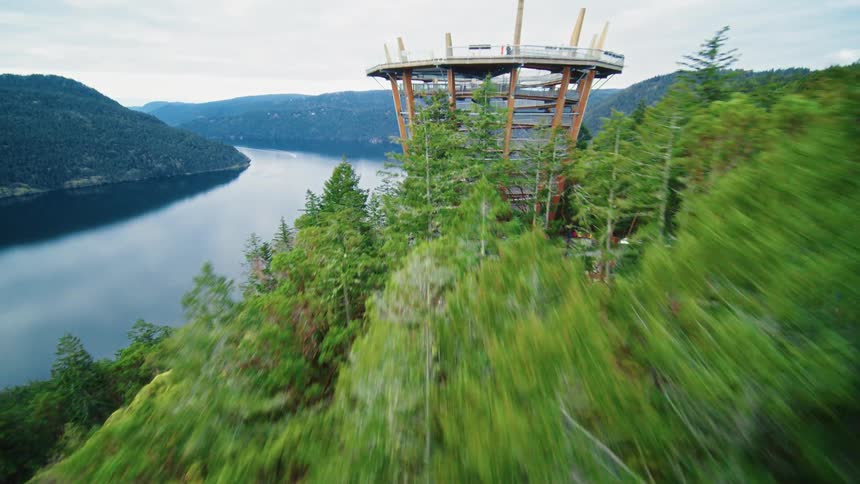 Structure under construction towers over the forest trees on a slope leading to the river