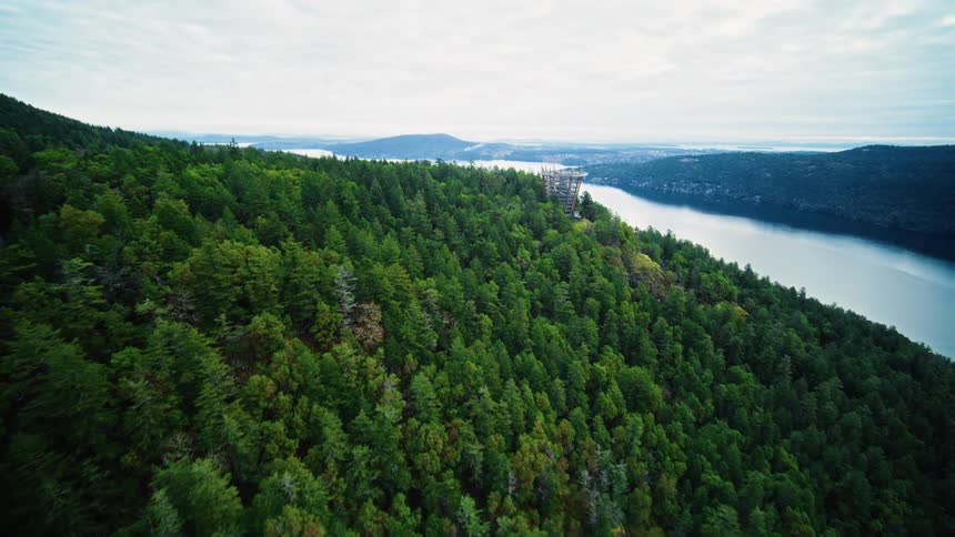 Aerial view of a forested mountain beside a river in daylight