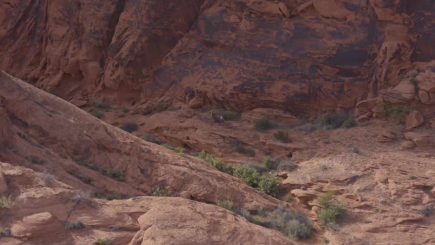 A horse runs on a path with reddishbrown rock formations across a rugged desert landscape dotted with sparse green vegetation