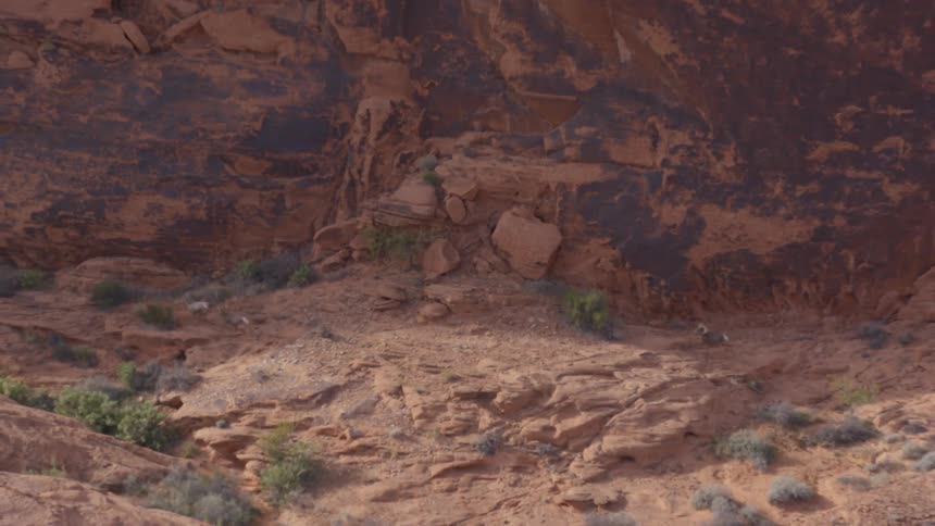 Reddish rock formations with sparse vegetation and running animals
