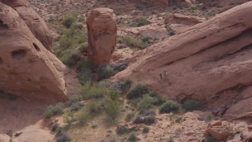 Large reddish rock formations surround a dry shrubdotted canyon floor in a rugged desert landscape