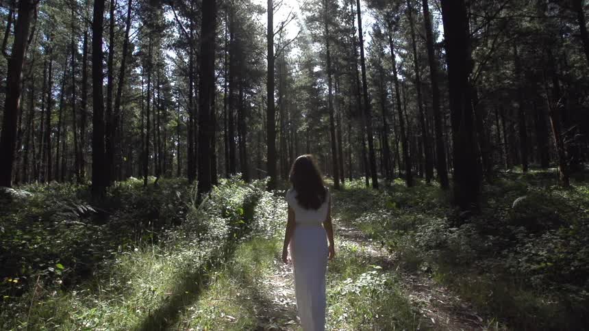 Woman walks towards the woods