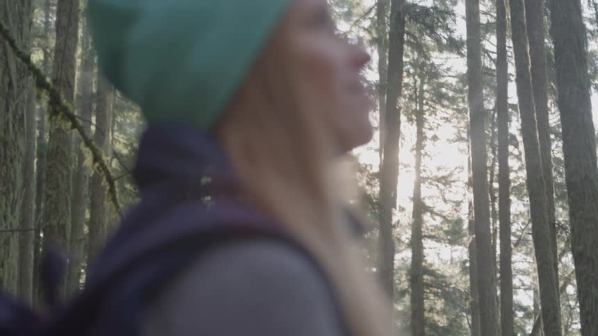Female in the forest admiring beauty of the tall trees