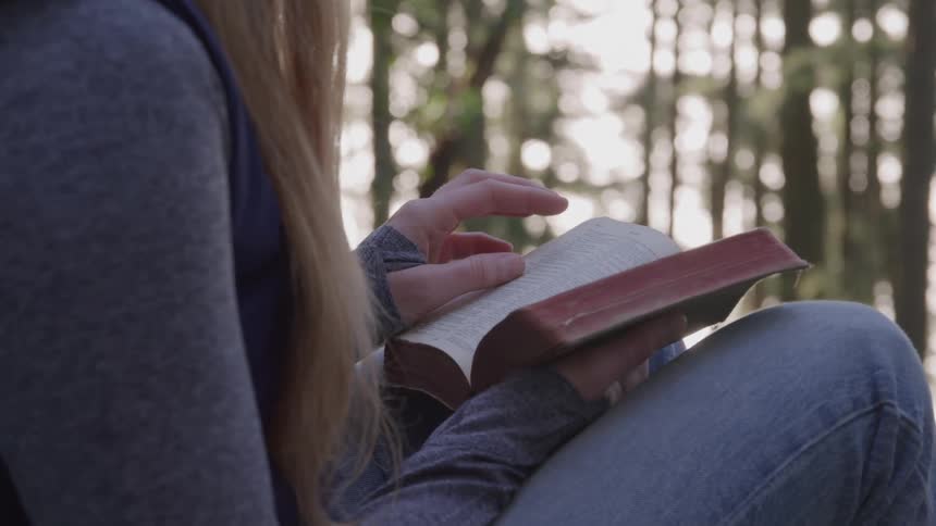 A girl reading a book in the woods