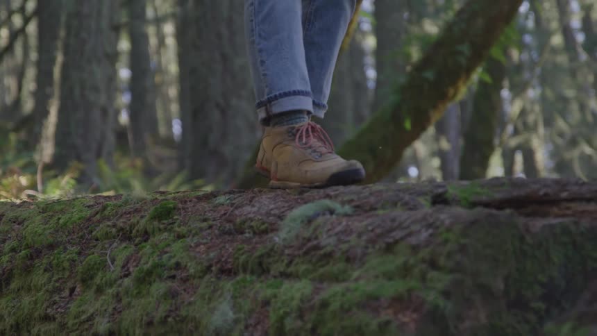 The legs of a person wearing jeans and brown boots walking along the trunk of a fallen tree covered in moss