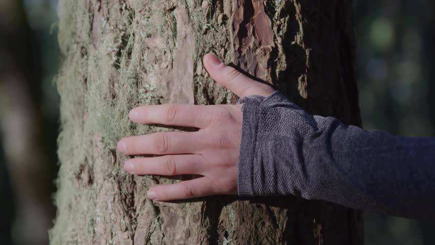 Hand resting on the trunk of a mosscovered tree