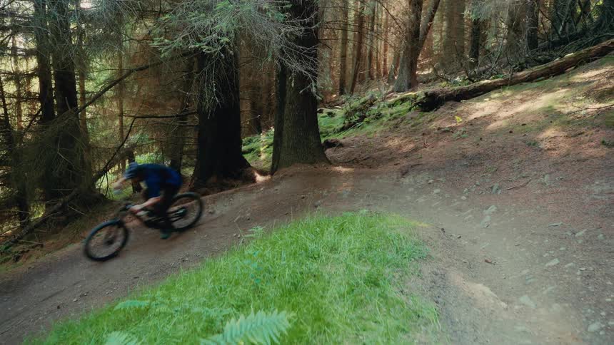 A cyclist rides a dirt trail through a forest