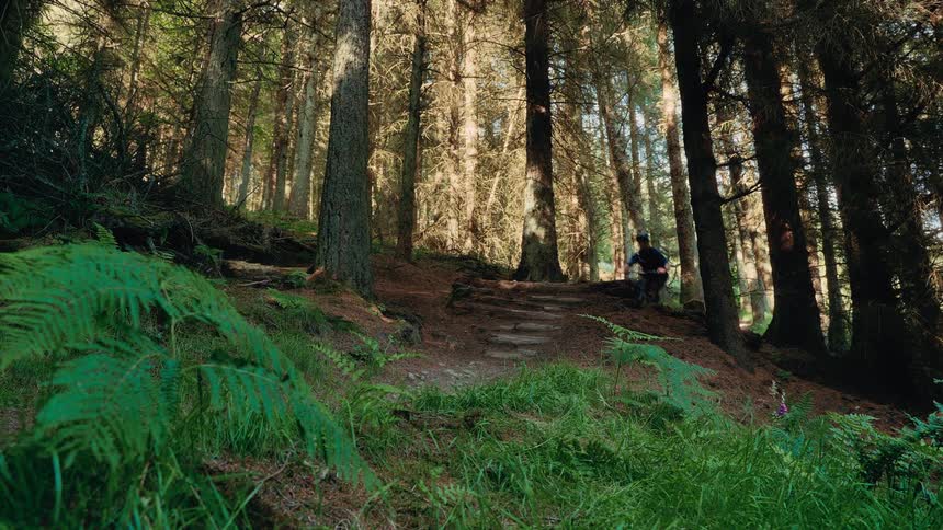 The video shows a person riding a mountain bike downhill on a trail through a dense sunlit forest the forest floor is covered in ferns and other green plants