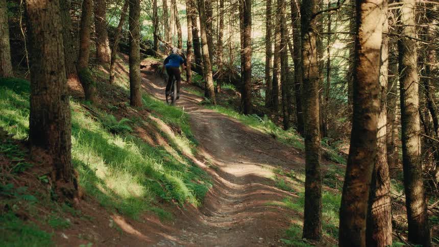 A man rides a mountain bike along a narrow dirt trail through a sunlit forest