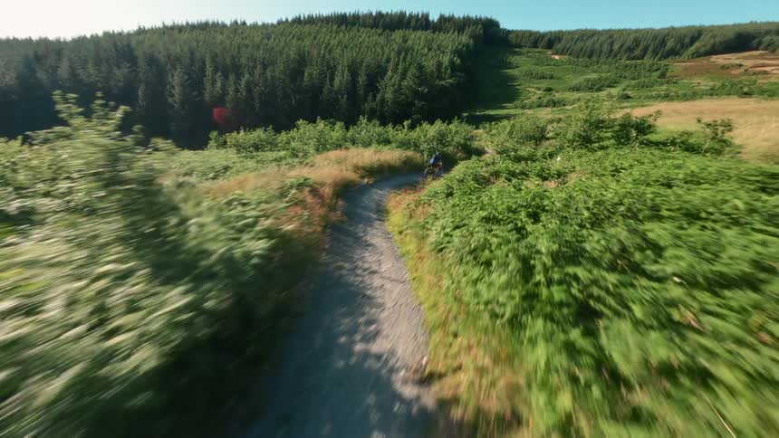 A man rides a bike along a winding dirt trail through lush green hills and dense forest