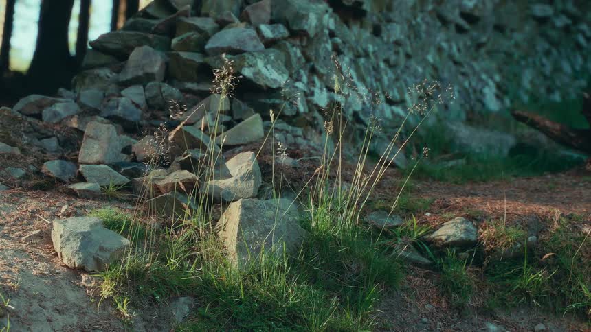 The video shows a static shot of a stone wall and a pile of large rocks in the foreground there are some smaller rocks and tall blades of grass the video has a watermark in the bottom right corner