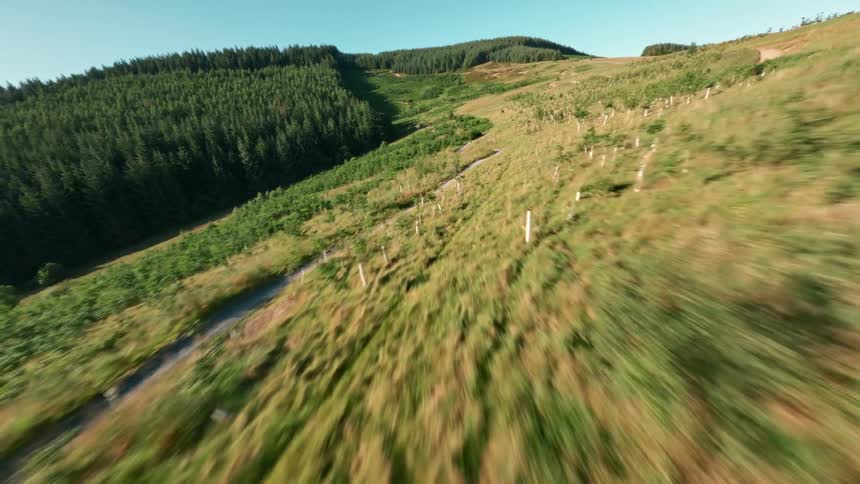 A winding dirt trail cuts through a lush green hillside surrounded by dense forest as a person bikes on a trail