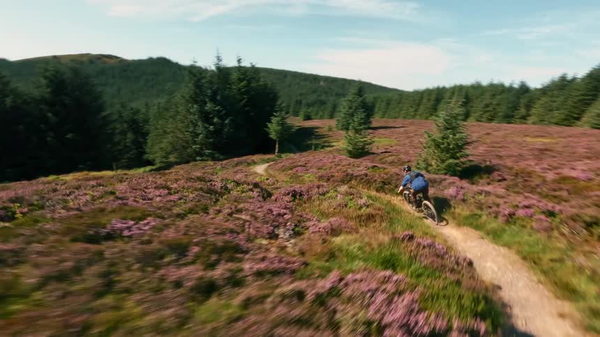 A man rides a mountain bike at high speed along a winding trail bordered by blooming wildflowers and dense evergreens
