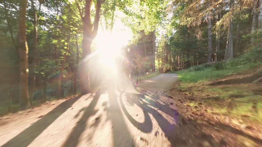 A cyclist rides along a gravel path through a sunlit forest