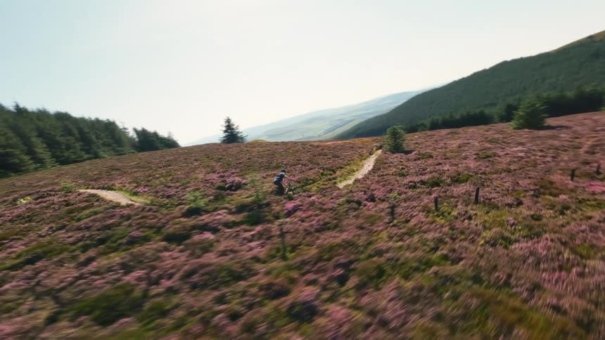 The video shows a mountain biker riding on a dirt trail that winds through a brown grassy landscape with patches of green trees the camera follows the biker as they descend and ascend small hills the video has a watermark that reads filmsupply