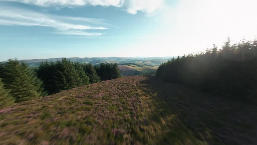 Aerial view of hills and forests under a bright sky